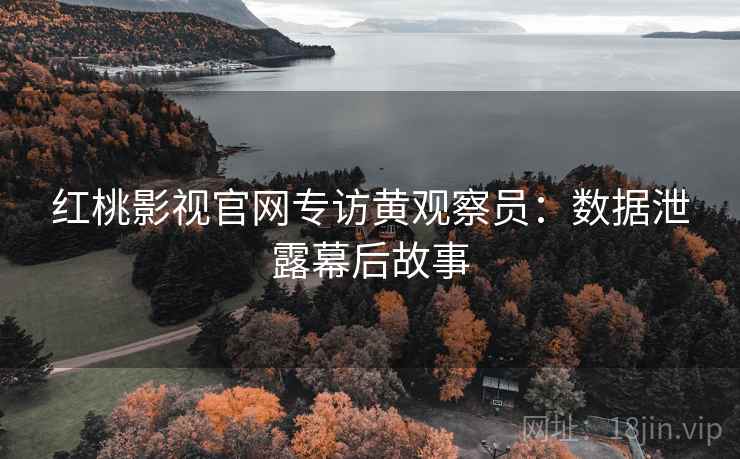 红桃影视官网专访黄观察员：数据泄露幕后故事