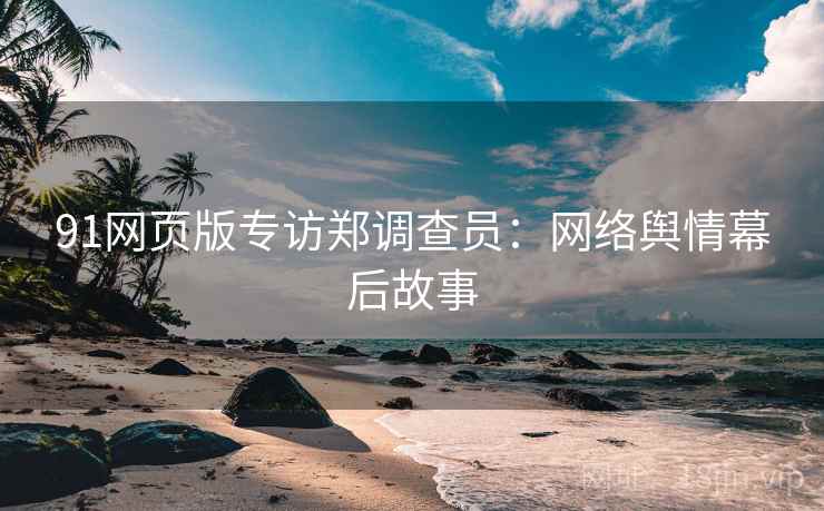 91网页版专访郑调查员：网络舆情幕后故事