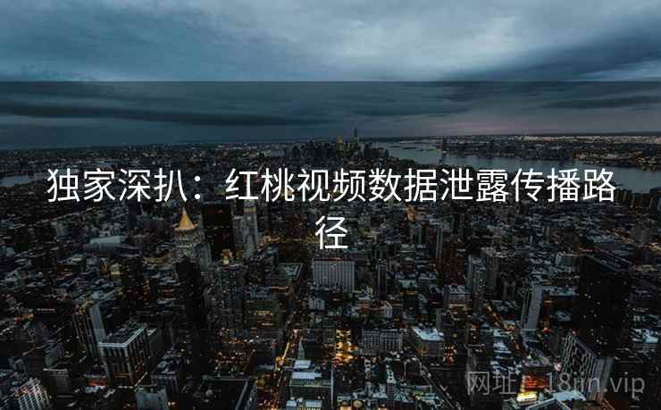 独家深扒：红桃视频数据泄露传播路径