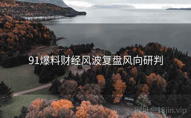 91爆料财经风波复盘风向研判
