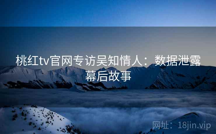 桃红tv官网专访吴知情人：数据泄露幕后故事