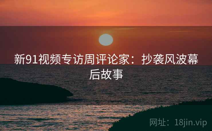 新91视频专访周评论家：抄袭风波幕后故事