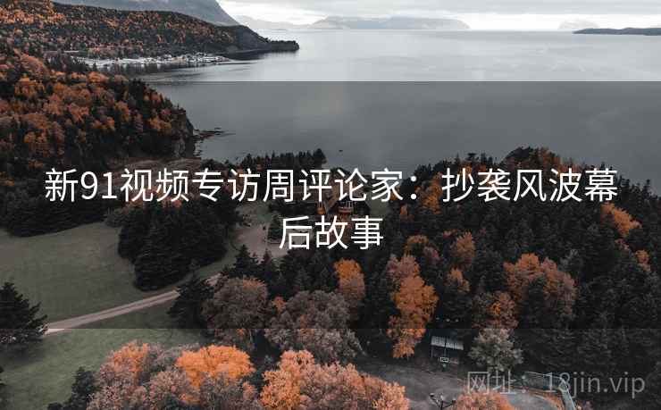 新91视频专访周评论家：抄袭风波幕后故事